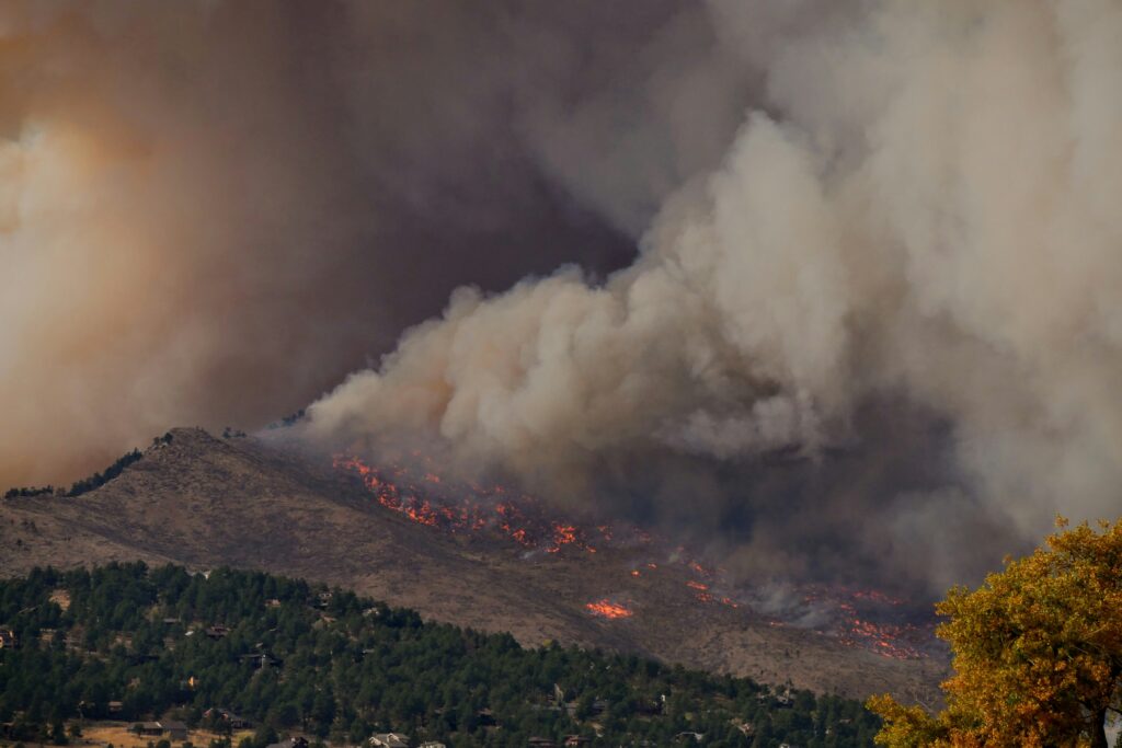 Preparing Your Property for Wildfire Season